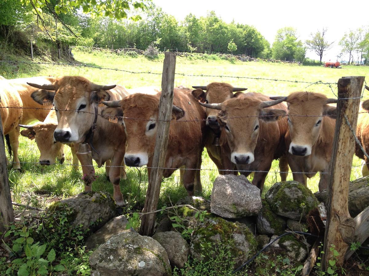 Le Clos De Banes Argences-en-Aubrac 외부 사진